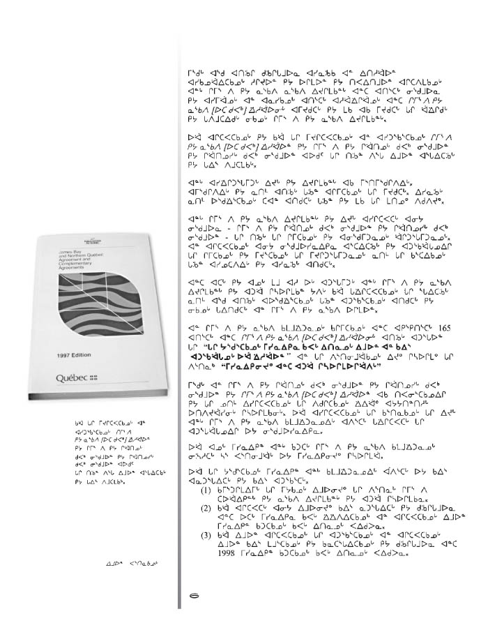 10675 CNC Annual Report 2000 NASKAPI - page 6